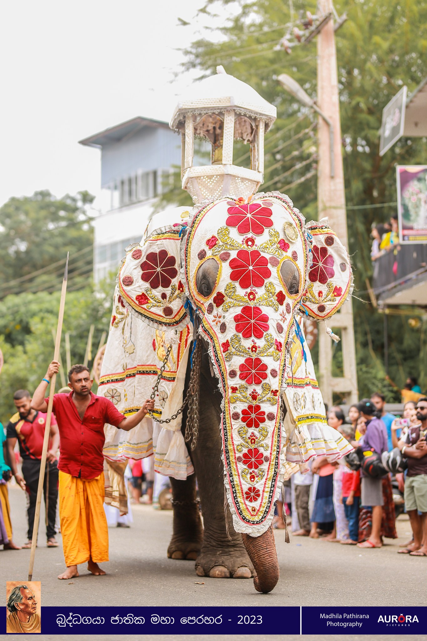 Perahera Image 17